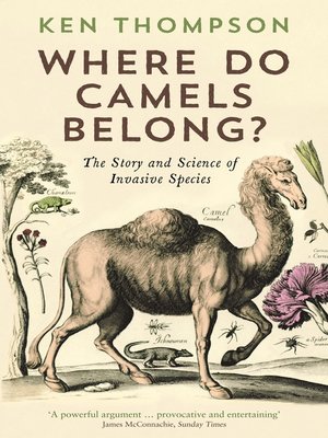 cover image of Where Do Camels Belong?
